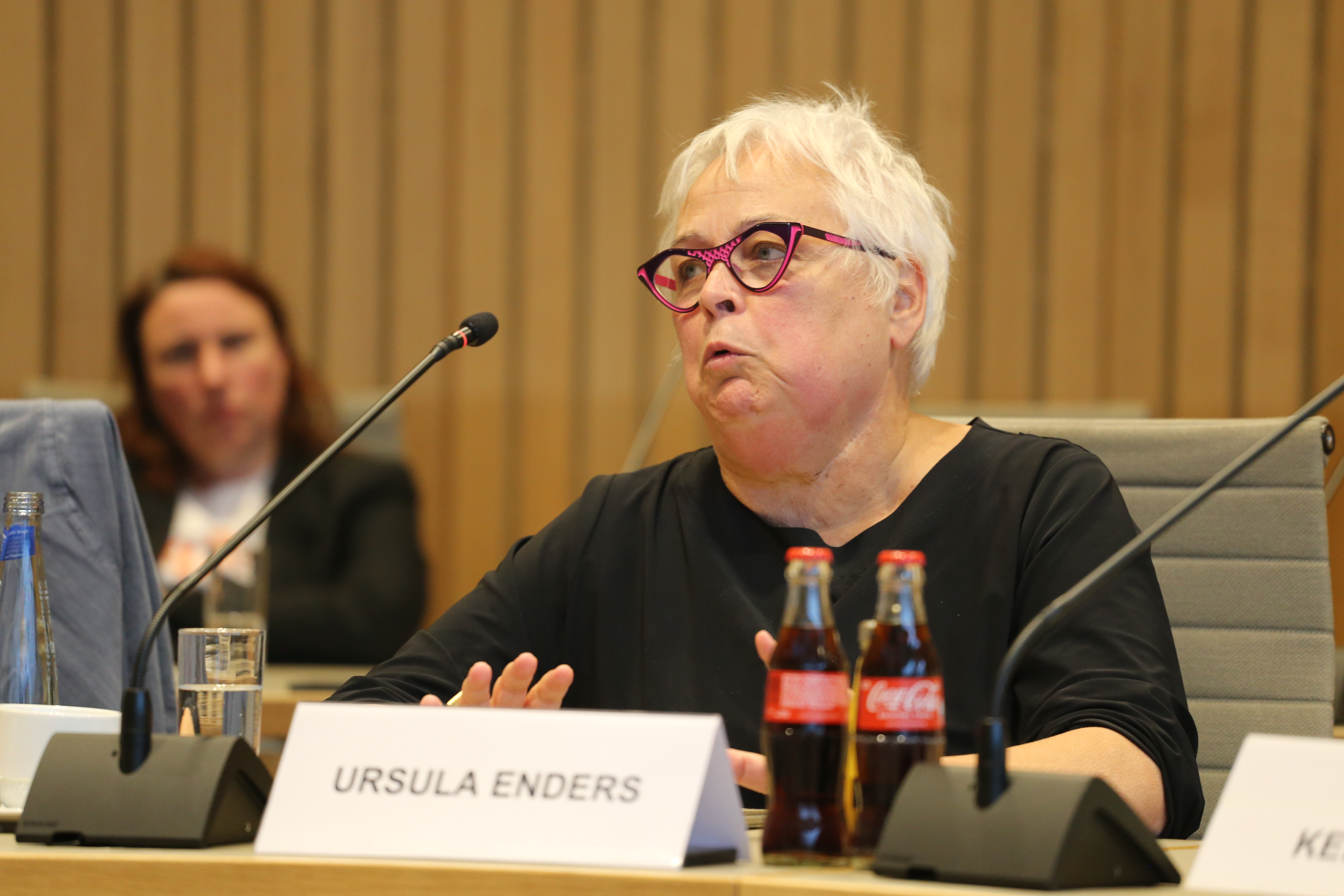 Expertin Ursula Enders  während der Veranstaltung "Kinderrechte und Recht auf Unterricht?"