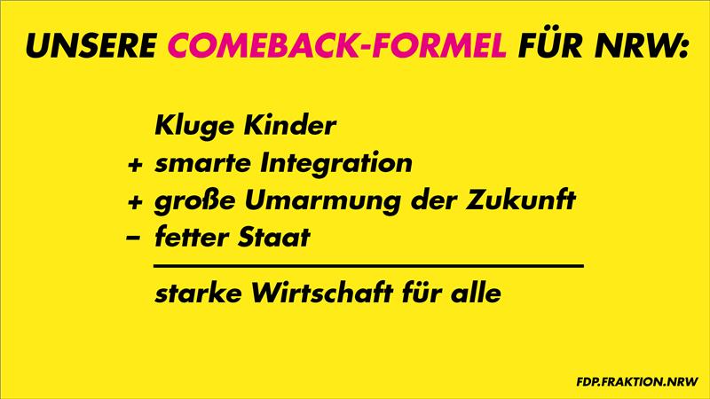 Die FDP-Comeback-Formel fuer NRW