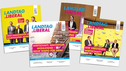 Bild von vier Aufgaben Landtag Liberal der FDP-Landtagsfraktion NRW