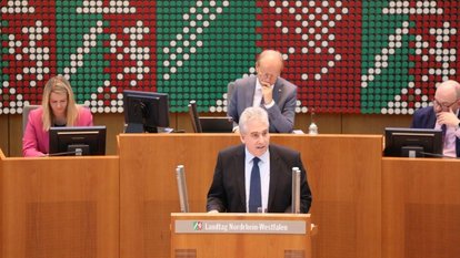 Dirk Wedel am Plenarpult 