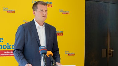 FDP-Fraktionschef Henning Höne