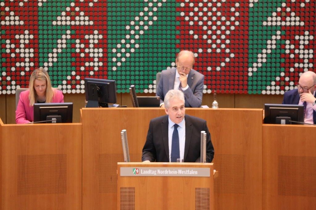 Dirk Wedel am Plenarpult