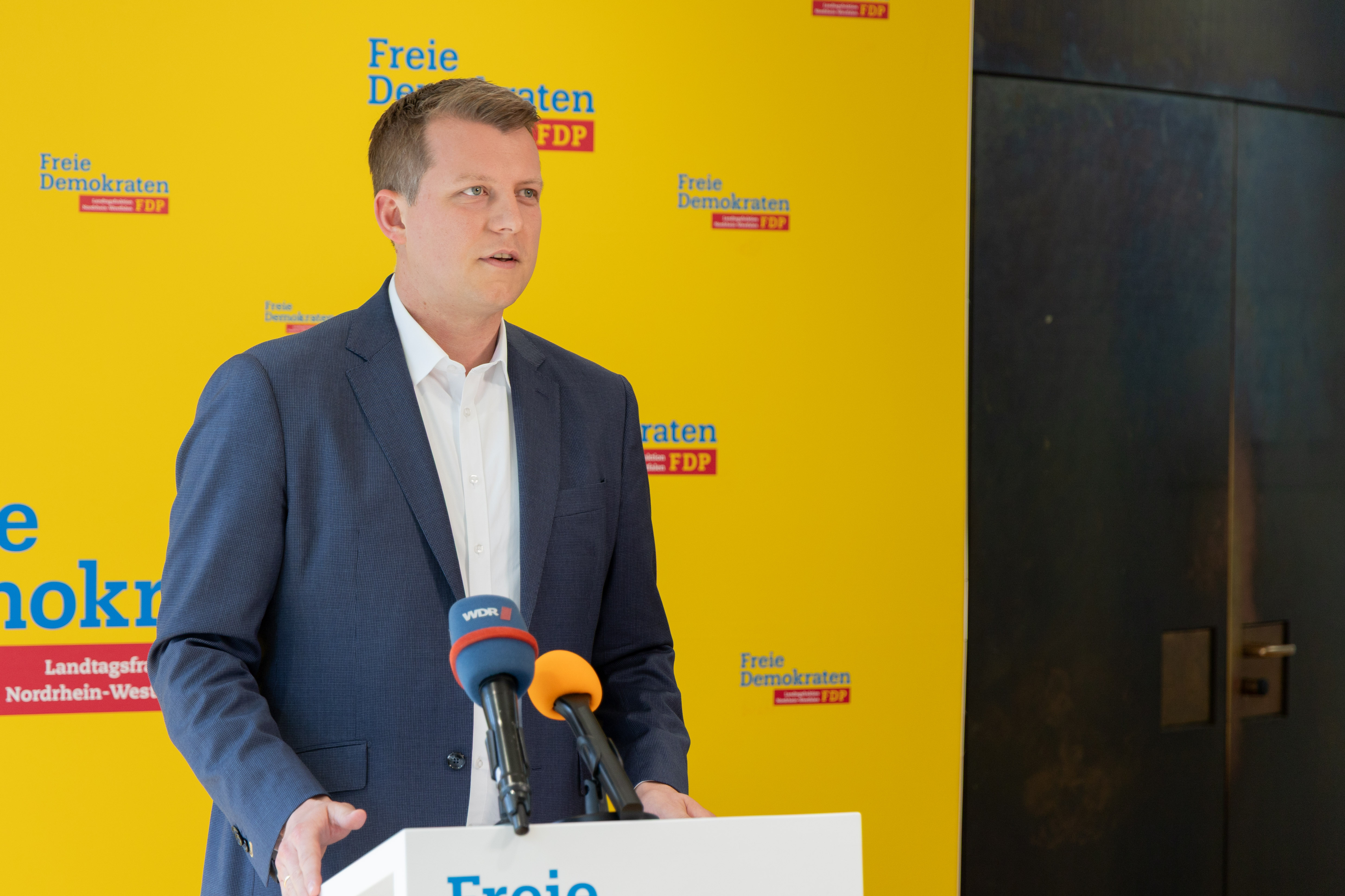 FDP-Fraktionschef Henning Höne