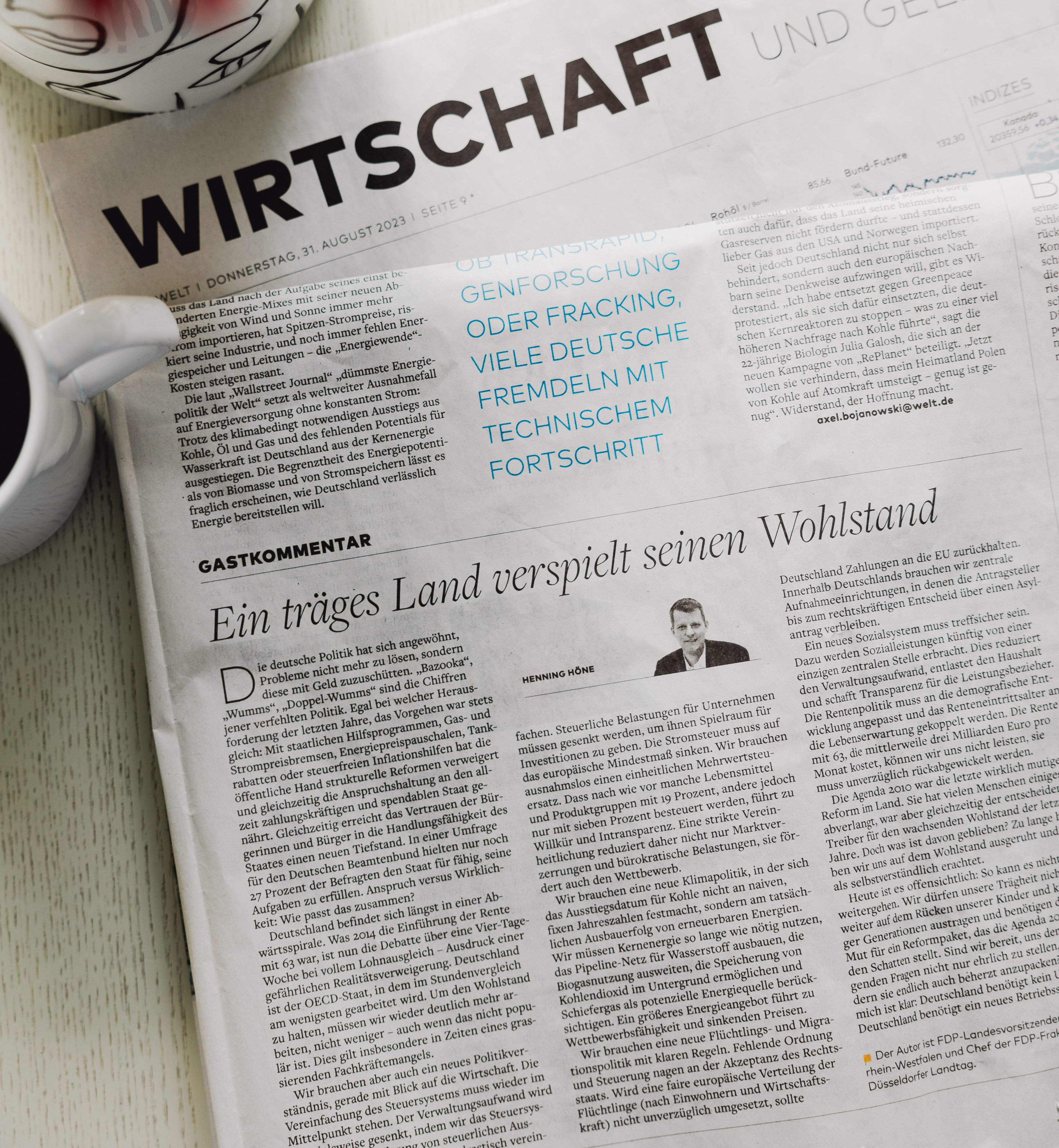 Gastbeitrag Henning Höne in "Die Welt"