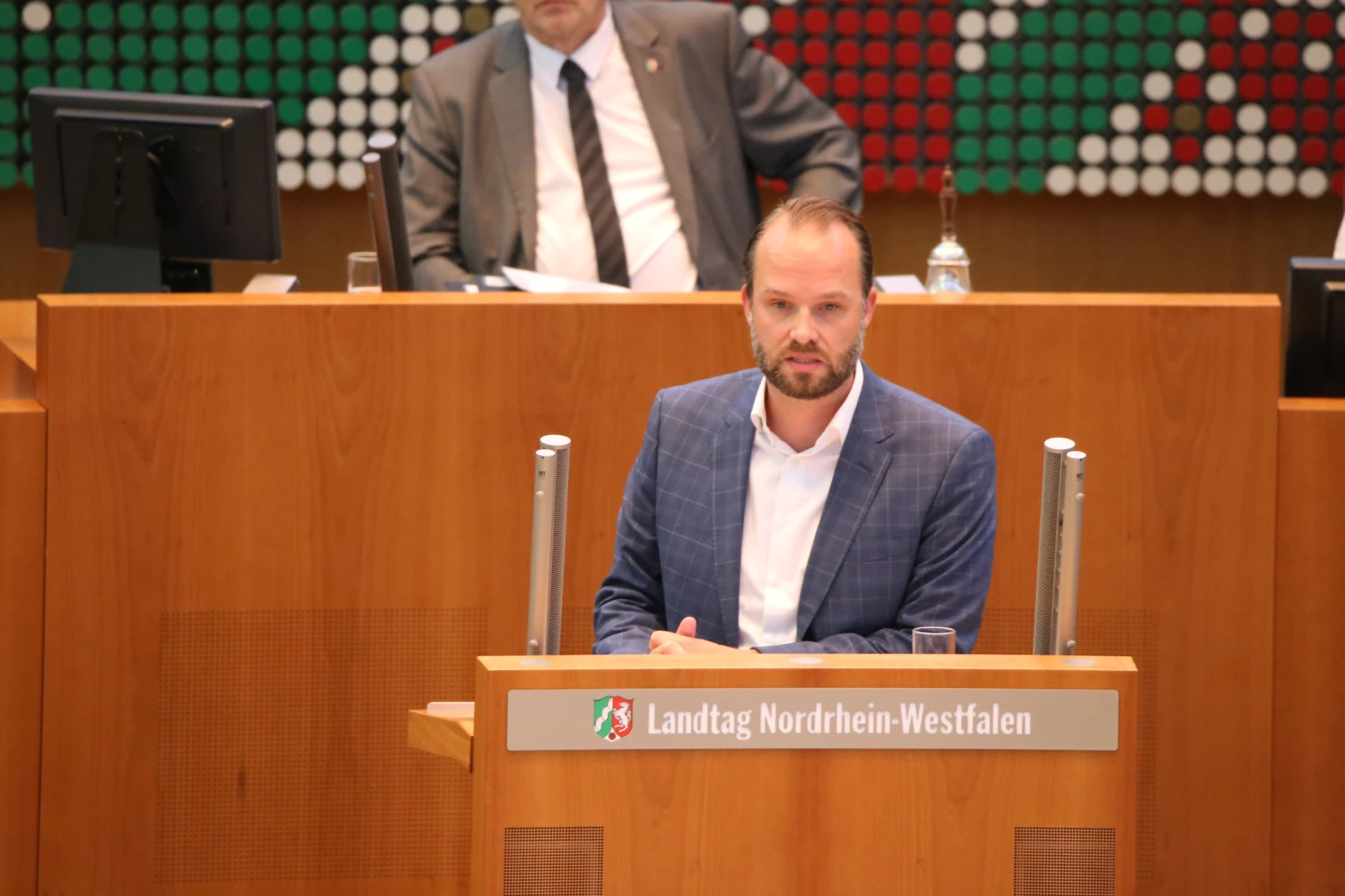 Marcel Hafke (FDP)