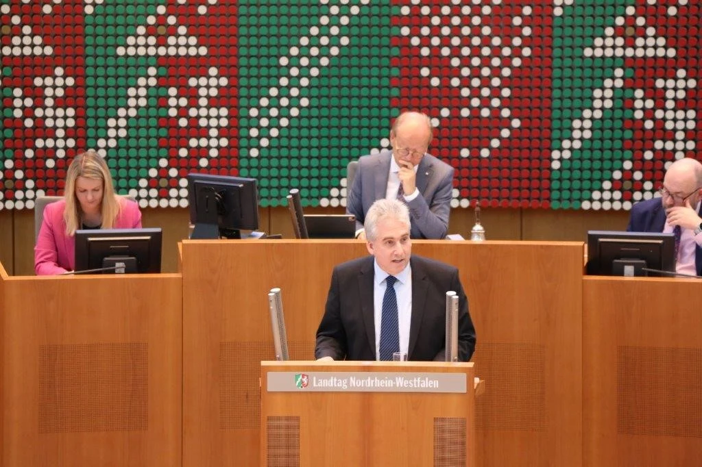 Dirk Wedel am Plenarpult